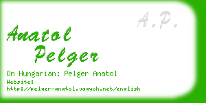 anatol pelger business card